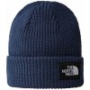 Zimná čiapka The North Face Salty Dog A3FJW, univerzálna veľkosť Zimná čiapka The North Face Salty Dog A3FJW, univerzálna veľkosť
