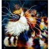 Norimpex diamantové maľovanie Nadýchaná mačka 30 x 40 cm