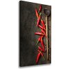Vertikálny foto obraz na plátne Chilli papričky 50x100 cm Vertikálny foto obraz na plátne Chilli papričky 50x100 cm