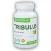 Nutri House Tribulus Terrestris 100 tabliet Nutri House Tribulus Terrestris 100 tabliet