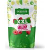 Organis Malina sušené mrazem XXL 90 g