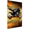 Vertikálny foto obraz fotografie na skle Motorka 50x100 cm Vertikálny foto obraz fotografie na skle Motorka 50x100 cm