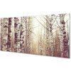 Obraz plexi Stromy 100x50 cm Obraz plexi Stromy 100x50 cm