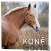 Koně 2026 - nástěnný kalendář - Baloušek Koně 2026 - nástěnný kalendář - Baloušek
