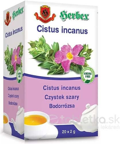 HERBEX Cistus incanus 20 x 2 g