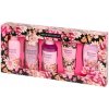 Sada na kúpanie a starostlivosť o telo Blossom Flowers 5 kusov Sada na kúpanie a starostlivosť o telo Blossom Flowers 5 kusov
