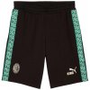 Puma AC Miláno (AC Milan) KING kraťasy pánske Puma AC Miláno (AC Milan) KING kraťasy pánske