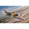 Hobby Boss A-10A Thunderbolt II 1/72 Hobby Boss A-10A Thunderbolt II 1/72