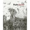 Pedro Páramo - Juan Rulfo Pedro Páramo - Juan Rulfo