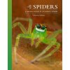The Lives of Spiders – A Natural History of the World′s Spiders (Ximena Nelson)(Pevná) The Lives of Spiders – A Natural History of the World′s Spiders (Ximena Nelson)(Pevná)