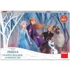 Dino Frozen: Človeče nehnevaj sa a magický les Dino Frozen: Človeče nehnevaj sa a magický les