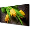 Obraz na plátne Tulipány kvety 100x50 cm Obraz na plátne Tulipány kvety 100x50 cm