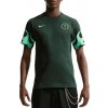 Nike | Dri-FIT Nigeria Primary | zelená| S Nike | Dri-FIT Nigeria Primary | zelená| S