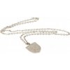 West Ham United retiazka na krk s príveskom Silver Plated Pendant & Chain CR West Ham United retiazka na krk s príveskom Silver Plated Pendant & Chain CR
