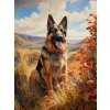 Norimpex diamantové maľovanie Nemecký ovčiak v horách 30 x 40cm
