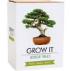 Grow it - Bonsai Grow it - Bonsai