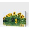 Vymalujsisam.sk Maľovanie podľa čísiel - Slnečnica pri vode Veľkosť: 40x60cm, Rám: Na plastovej doske Vymalujsisam.sk Maľovanie podľa čísiel - Slnečnica pri vode Veľkosť: 40x60cm, Rám: Na plastovej doske