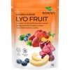 BONITAS Lyofruit mix - jahody, čučoriedky, broskyne a višne 30g BONITAS Lyofruit mix - jahody, čučoriedky, broskyne a višne 30g