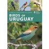Birds of Uruguay Birds of Uruguay