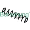 Pružina podvozku Borsehung B12627 Pružina podvozku Borsehung B12627