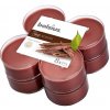 Bolsius Maxi True Scents Oud Wood 8 ks Bolsius Maxi True Scents Oud Wood 8 ks