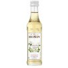 Monin sirup Bezinka 0,05 l Monin sirup Bezinka 0,05 l
