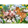 Castorland - Puzzle Zvieratká na farme 40 maxi - 40-99 dielov Castorland - Puzzle Zvieratká na farme 40 maxi - 40-99 dielov
