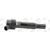 Zapaľovacia cievka BorgWarner (BERU) ZS550 ZS550