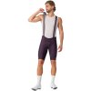 Castelli Competizione 2 KIT #26 bibshort, Dark Night Shade Veľkosť: L Komfortné nohavice poskytujúce dostatok pohodlia Castelli Competizione 2 KIT #26 bibshort, Dark Night Shade Veľkosť: L Komfortné nohavice poskytujúce dostatok pohodlia