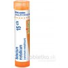 Selenium Metallicum gra.1 x 4 g 15CH Selenium Metallicum gra.1 x 4 g 15CH