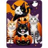 Norimpex diamantové maľovanie Halloween Mačky a tekvica 30 x 40 cm