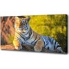 Foto obraz na plátne Portrét tigra 100x50 cm Foto obraz na plátne Portrét tigra 100x50 cm