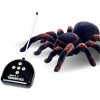 Desivá Tarantula RC Desivá Tarantula RC