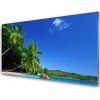 Obraz plexi Palma stromy pláž krajina 100x50 cm Obraz plexi Palma stromy pláž krajina 100x50 cm