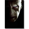 Voldemort portret obraz na stenu Harry Potter Voldemort portret obraz na stenu Harry Potter