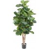 Umelý strom Fíkus Lyrata, 180cm Umelý strom Fíkus Lyrata, 180cm