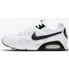 Nike air max ivo
