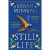 Still Life, Winman Sarah, 2022 Still Life, Winman Sarah, 2022