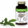 MASTICHA ACTIVE cps 100 MASTICHA ACTIVE cps 100