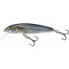 Salmo Minnow Floating Spirlin 7cm 6g
