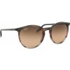 Ray-Ban RB2204 13953B
