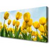 Obraz Canvas Tulipány kvety rastlina 100x50 cm Obraz Canvas Tulipány kvety rastlina 100x50 cm