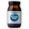 Viridian Boswellia Resin 90 kapsúl Viridian Boswellia Resin 90 kapsúl