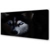 Obraz na plátne wolf Eyes 100x50 cm Obraz na plátne wolf Eyes 100x50 cm