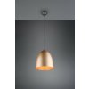 TRIO Reality R30661008 TILDA závesné svietidlo D250mm 1xE27 matná mosadz TRIO Reality R30661008 TILDA závesné svietidlo D250mm 1xE27 matná mosadz