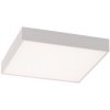 ACB P3973070BDP Stropné svietidlo OPORTO LED 40W 2800lm + 5W 500lm, 2700K-3000K, CRI90, DALI/Push, biela ACB P3973070BDP Stropné svietidlo OPORTO LED 40W 2800lm + 5W 500lm, 2700K-3000K, CRI90, DALI/Push, biela