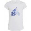 T-shirt adidas Big Logo GT Jr IB9162 (116808) Black 152 cm T-shirt adidas Big Logo GT Jr IB9162 (116808) Black 152 cm