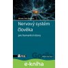 Nervový systém člověka - Orel Miroslav a kolektiv