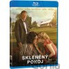 Sklenená izba BD Sklenená izba BD