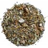 Trávenie - bylinková zmes, balenie 50 g Trávenie - bylinková zmes, balenie 50 g